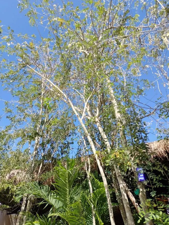 Lodge Kinich Ahau Villa Tulum