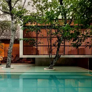 Jungle Keva & Venue , Tulum México